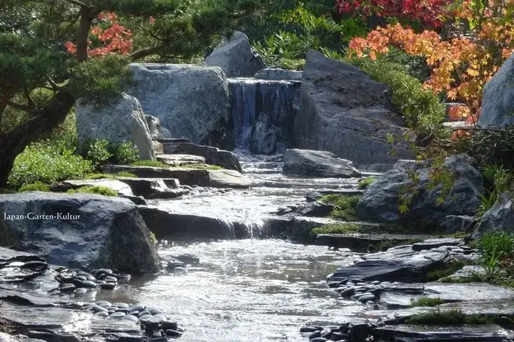 Tham Khảo Những Mẫu Hồ Cá Koi Tự Xây Chuẩn Đẹp