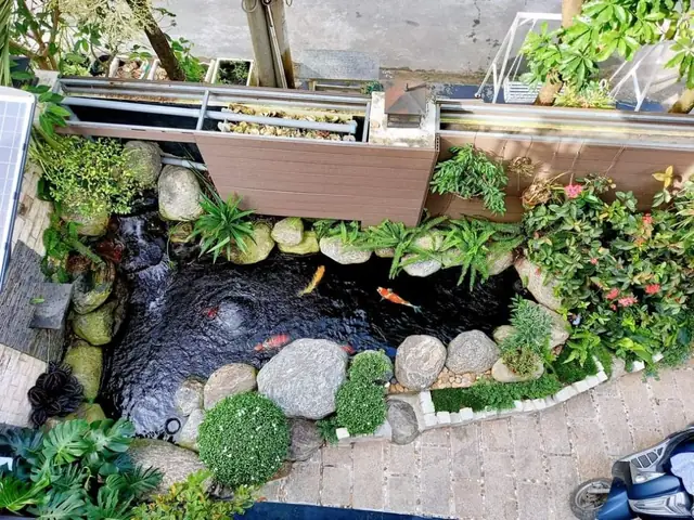 Tham Khảo Những Mẫu Hồ Cá Koi Tự Xây Chuẩn Đẹp