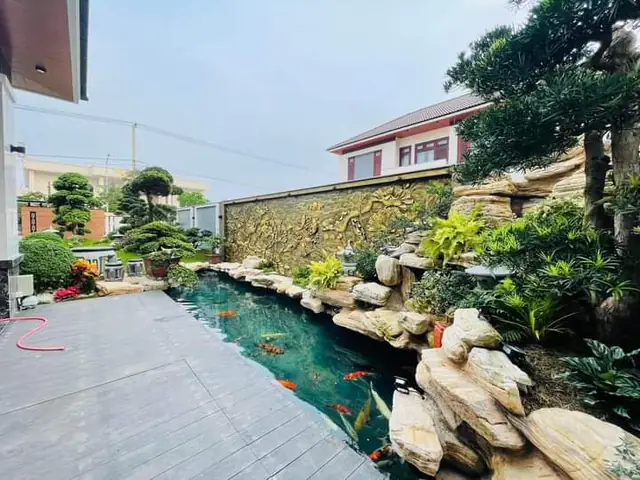 Bước 1 Lựa Chọn Vị Trí Xây Hồ Cá Koi