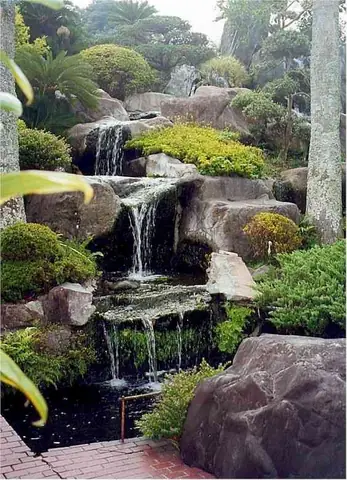 Tham Khảo Những Mẫu Hồ Cá Koi Tự Xây Chuẩn Đẹp