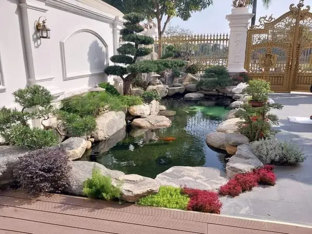 Bước 1 Lựa Chọn Vị Trí Xây Hồ Cá Koi