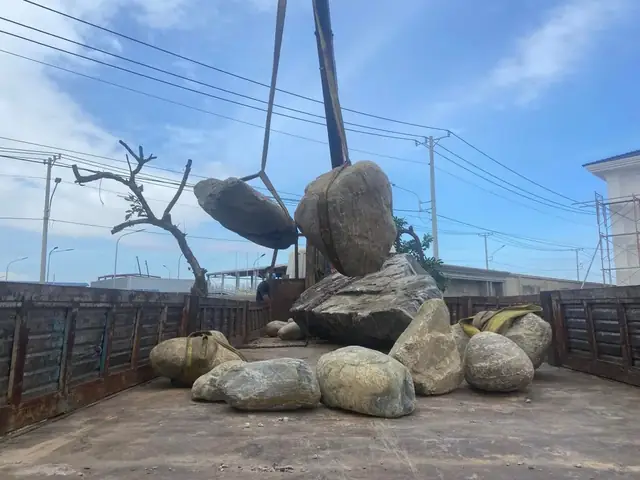 Bước 8: Tạo Hình Dáng Hồ Koi Theo Ý Muốn