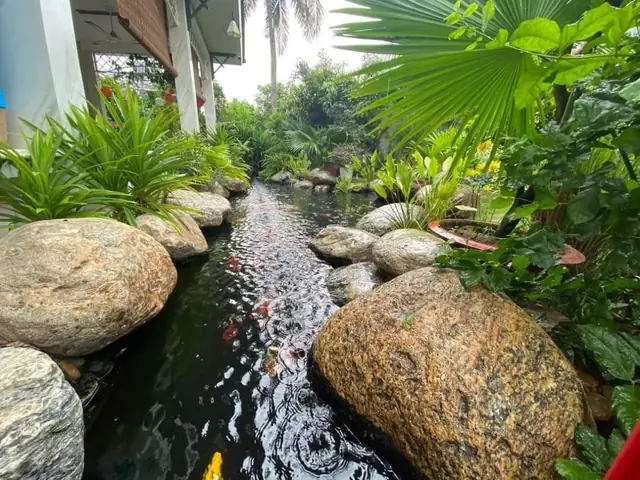 Tham Khảo Những Mẫu Hồ Cá Koi Tự Xây Chuẩn Đẹp