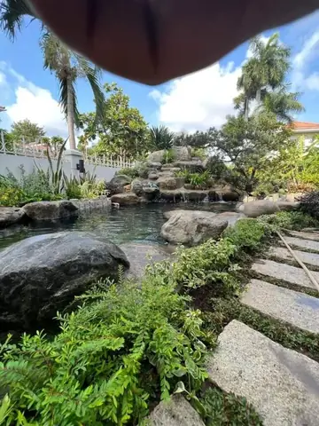 Bước 1 Lựa Chọn Vị Trí Xây Hồ Cá Koi