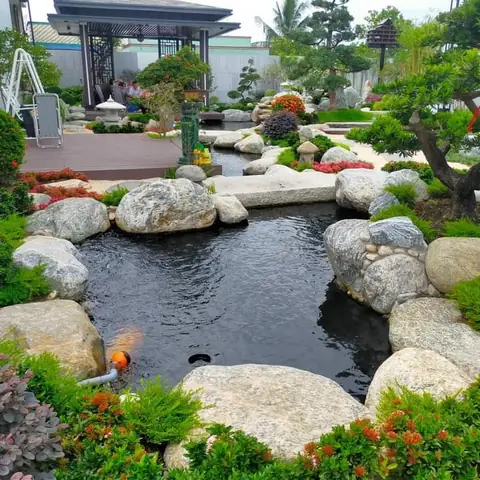 Bước 1 Lựa Chọn Vị Trí Xây Hồ Cá Koi