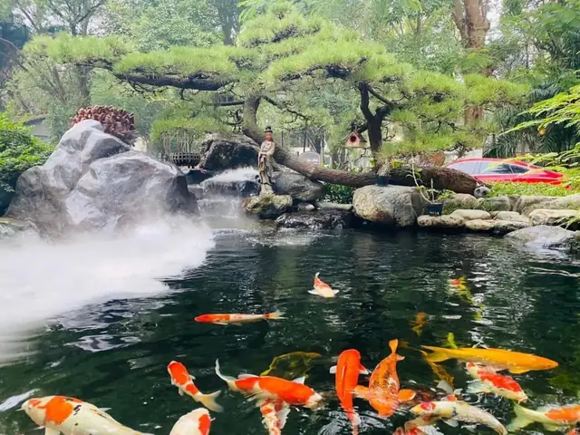 Tham Khảo Những Mẫu Hồ Cá Koi Tự Xây Chuẩn Đẹp