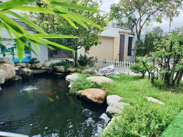 Tham Khảo Những Mẫu Hồ Cá Koi Tự Xây Chuẩn Đẹp