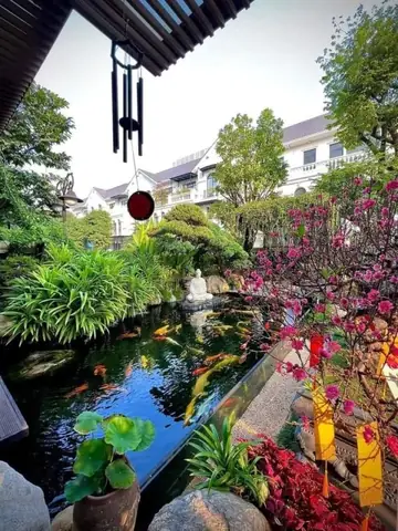 Bước 1 Lựa Chọn Vị Trí Xây Hồ Cá Koi