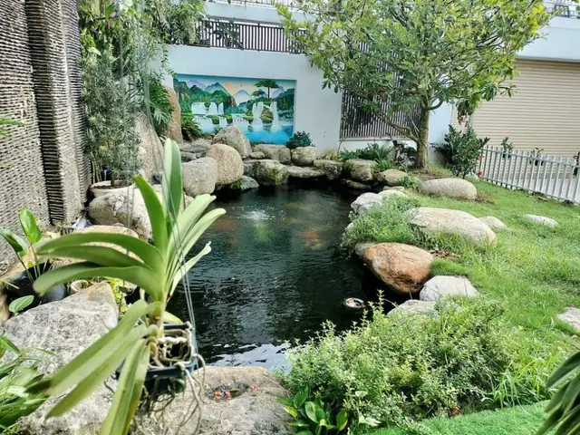 Tham Khảo Những Mẫu Hồ Cá Koi Tự Xây Chuẩn Đẹp Tham Khảo Những Mẫu Hồ Cá Koi Tự Xây Chuẩn Đẹp