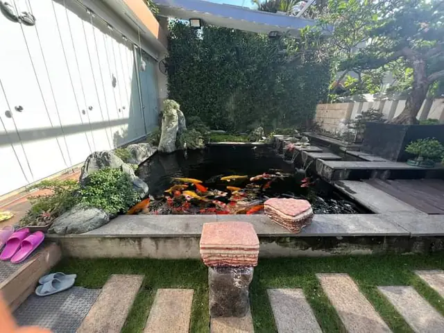 Bước 1 Lựa Chọn Vị Trí Xây Hồ Cá Koi Bước 1 Lựa Chọn Vị Trí Xây Hồ Cá Koi