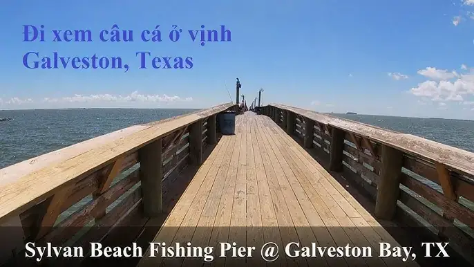 Kỹ Thuật Jigging