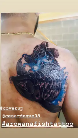 Hình Ảnh Cho Hình Vẽ Xăm Cá Chép: