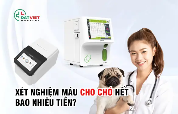 Xét Nghiệm Máu Cho Chó Hết Bao Nhiêu Tiền? Xét Nghiệm Máu Cho Chó Hết Bao Nhiêu Tiền?