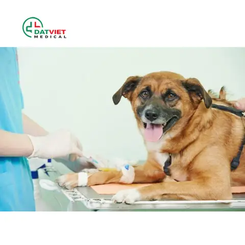 Xét Nghiệm Máu Cho Chó Gồm Những Gì?