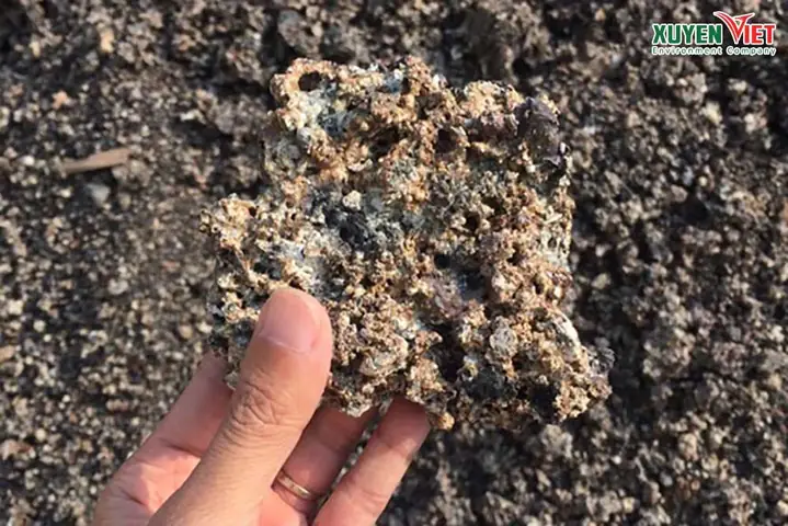 Than Tổ Ong Lọc Nước Bể Cá Có Tốt Không? Cần Lưu Ý Gì?