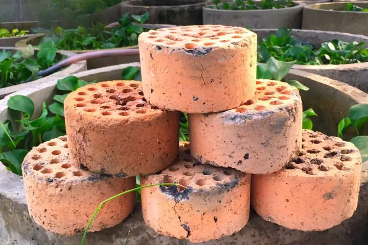 Hướng Dẫn Xử Lý Than Tổ Ong Dùng Trong Hồ Cá Cảnh: Tiết Kiệm Chi Phí