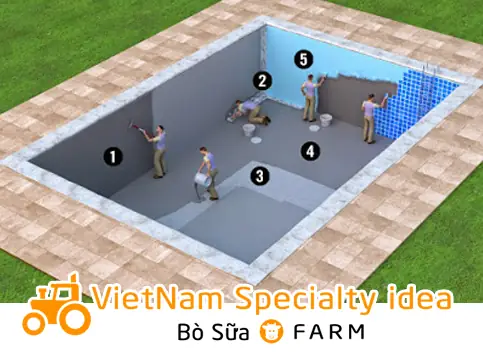 Xử Lý Bể Cá Xi Măng