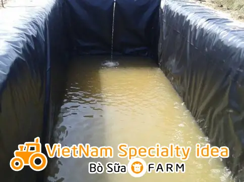 Xử Lý Bể Cá Xi Măng