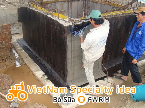 Xử Lý Bể Cá Xi Măng