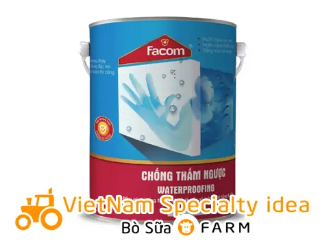 Xử Lý Bể Cá Xi Măng