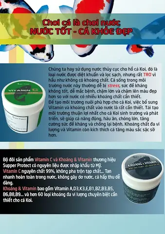 Cấy Vi Sinh Có Lợi Cho Hồ Cákoimới