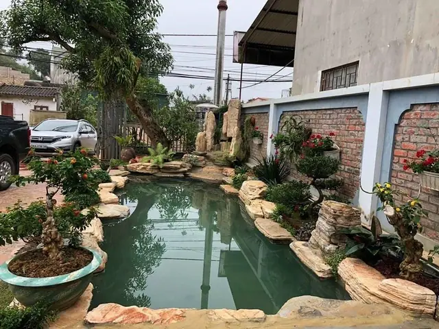 Nguyên Nhân Cákoidễ Bị Chết Khi Thả Vào Hồ Mới