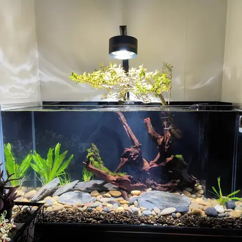 Điều Chỉnh Ánh Sáng