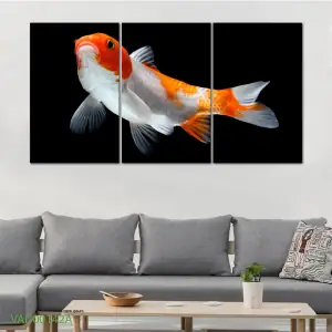 Tranh Treo Tường Cá Nghệ Thuật 17