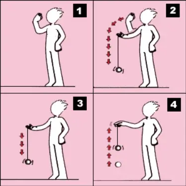 Hướng Dẫn Dắt Chó Đi Dạo An Toàn Và Vui Vẻ: Bí Quyết Cho Chủ Nhân Yêu Động Vật Hướng Dẫn Dắt Chó Đi Dạo An Toàn Và Vui Vẻ: Bí Quyết Cho Chủ Nhân Yêu Động Vật