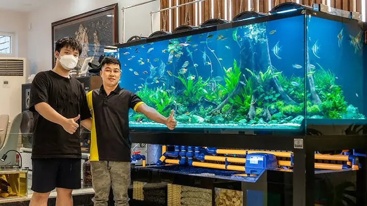 Top 9 Địa Chỉ Mua Bán Thanh Lý Hồ Cá Cũ Tại Tphcm – Giải Pháp ... Top 9 Địa Chỉ Mua Bán Thanh Lý Hồ Cá Cũ Tại Tphcm – Giải Pháp ...