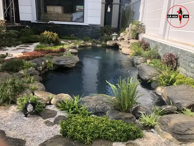 Cách Lắp Đặt Hệ Thống Lọc Nước Hồ Cá Koi Đúng Tiêu Chuẩn