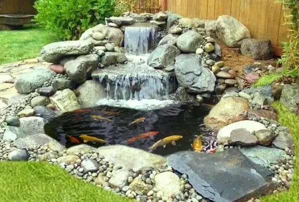 Thiết Kế Hồ Cá Thiết Kế Hồ Cá