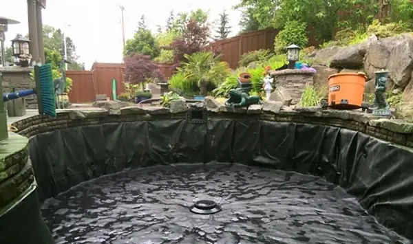 Thiết Kế Hồ Cá Thiết Kế Hồ Cá