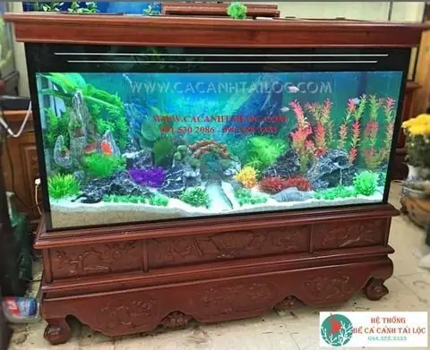 Bể Cá Cảnh Đẹp - Giá Rẻ Nhất Trên Toàn Quốc
