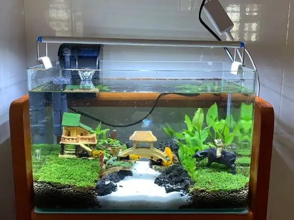 Vai Trò Của Đèn Bể Cá Cảnh Hà Nội Vai Trò Của Đèn Bể Cá Cảnh Hà Nội