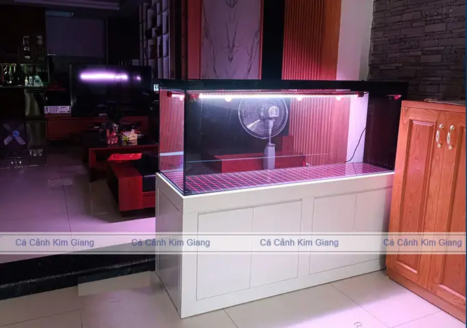 Bể Công Nghệ 1m6x50x60cm Siêu Trong 2 Mặt, Chân Sắt Ốp Gỗ