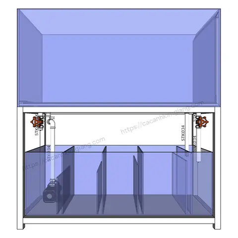 Bể Công Nghệ Mới - Giải Pháp Hoàn Hảo Cho Bể Cá Hiện Đại