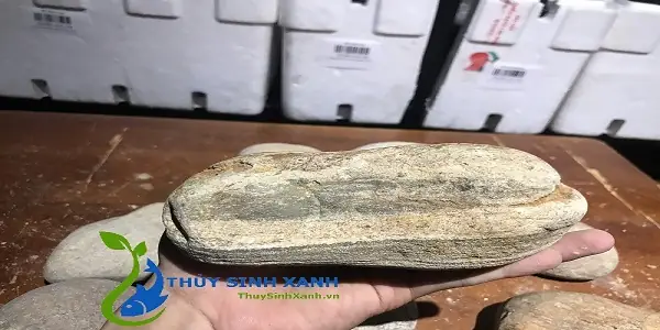 Đá Cuội Thuỷ Sinh Nhiều Màu. - Shop Thủy Sinh Xanh Đá Cuội Thuỷ Sinh Nhiều Màu. - Shop Thủy Sinh Xanh