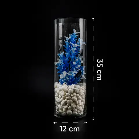 Bể, Bình Thủy Tinh Hình Trụ Tròn Nuôi Trồng Thủy Sinh, Thủy Canh, Deco ...