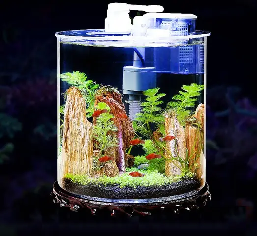 Mẫu Bể Cá Mini Để Bàn Hình Trụ Tròn Văn Phòng Bc002
