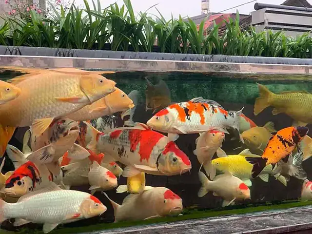 Cần Đảm Bảo Nguồn Nước Tốt Cần Đảm Bảo Nguồn Nước Tốt