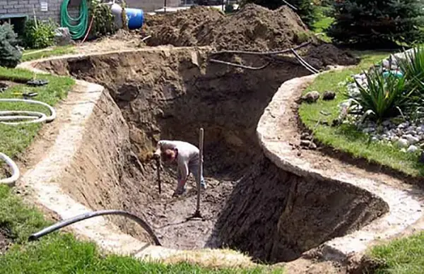 Tạo Hình Hồ Cá