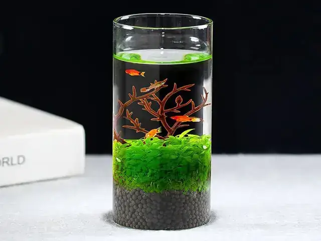 Water Change – Thay Nước