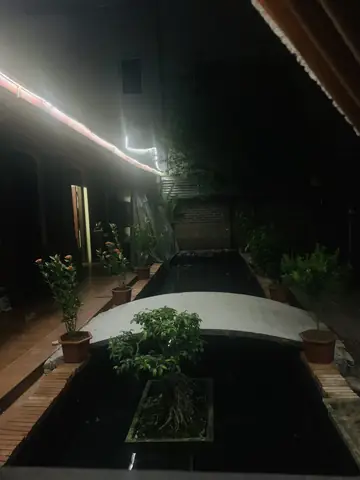 Bể Cá Tiểu Cảnh Sân Vườn