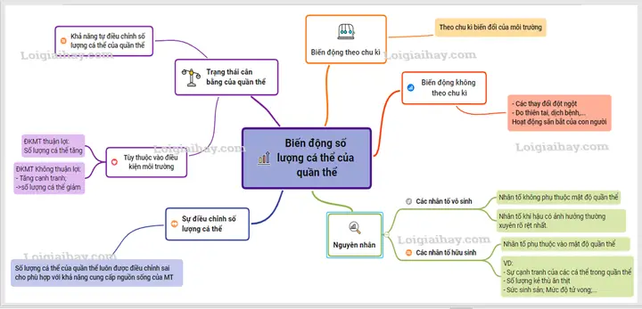 Biến Động Số Lượng Cá Thể Của Quần Thể