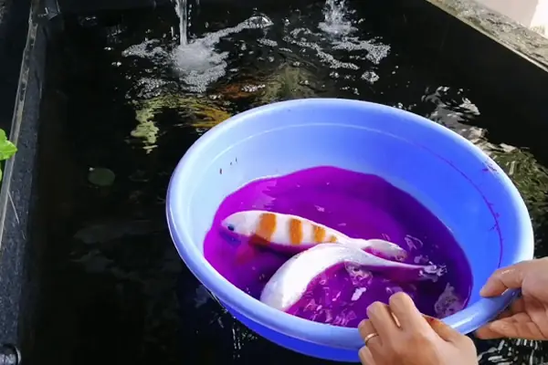 Sử Dụng Thuốc Điều Trị Nếu Cần Thiết Sử Dụng Thuốc Điều Trị Nếu Cần Thiết