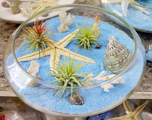 Chia Sẻ Kinh Nghiệm Nuôi Cá Trong Bình Thủy Tinh - Từ Cơ Bản Đến Nâng Cao Chia Sẻ Kinh Nghiệm Nuôi Cá Trong Bình Thủy Tinh - Từ Cơ Bản Đến Nâng Cao