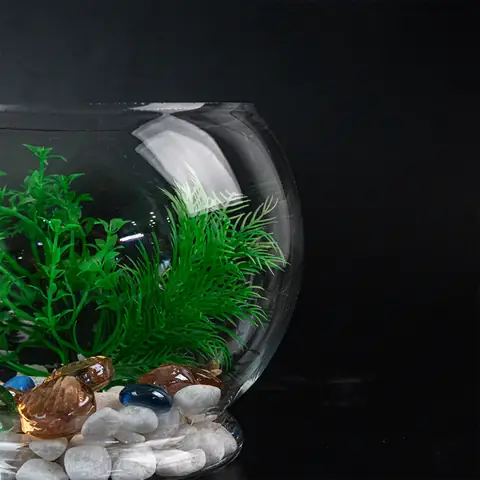 Kiểm Tra Sức Khỏe Kiểm Tra Sức Khỏe