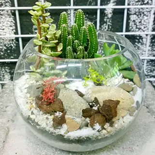 Thiết Kế Bình Thiết Kế Bình