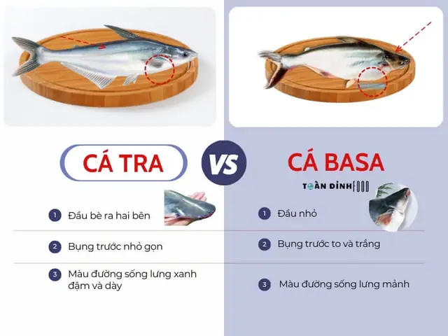 Phân Biệt Cá Tra Và Cá Basa, Điểm Giống Nhau Và Khác Nhau